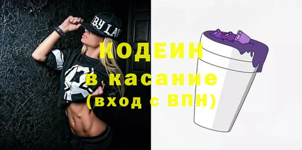 гидра Арсеньев