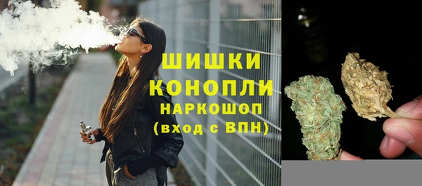 гидра Арсеньев