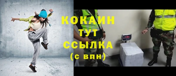 гидра Арсеньев