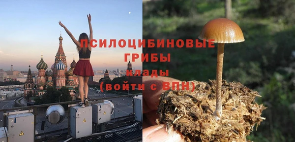 гидра Арсеньев