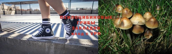 крисы Балабаново