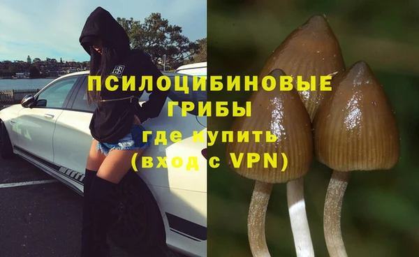 MESCALINE Пересвет